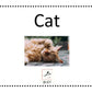 Downloadable Sight Words Flashcards