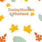 Tracing Numbers Dry Erase Workbook
